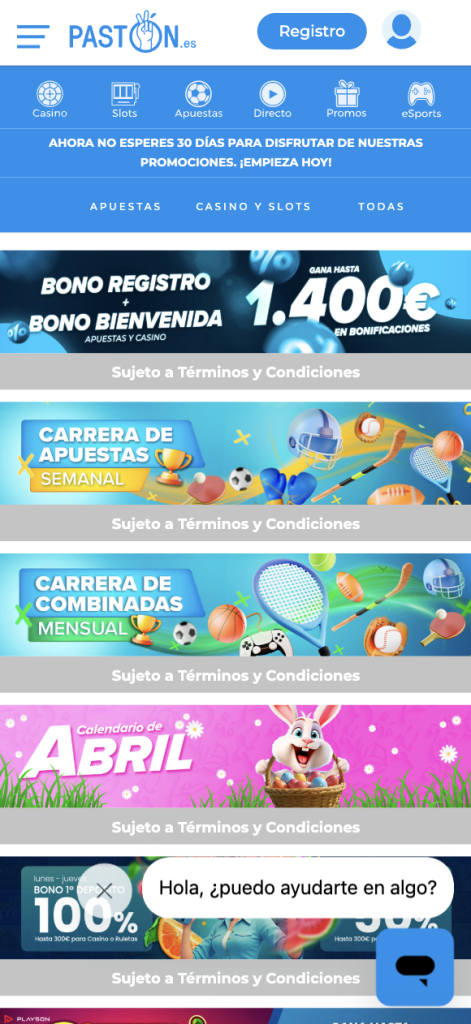 Interfaz de la Paston App
